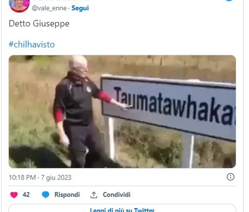 i migliori tweet di chi l'ha visto